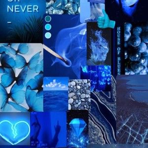 Meet your Posher, Alexia